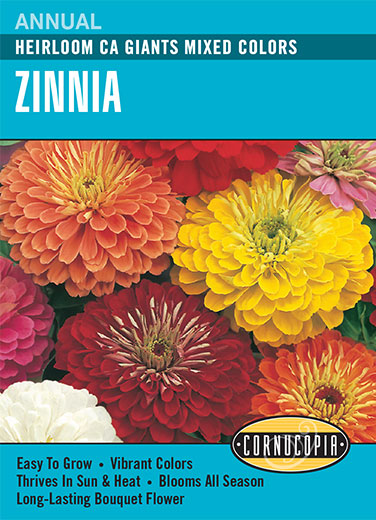 Visuel officiel de Cornucopia associé aux semences de Zinnia California Giant, référence CS138. Ce mélange propose des zinnias de différentes couleurs sous le nom California Giant. Les fleurs sont destinées aux massifs et aux bouquets de saison chaude. Cette image accompagne la fiche de cette sélection et permet de repérer le produit correspondant dans le catalogue de semences.