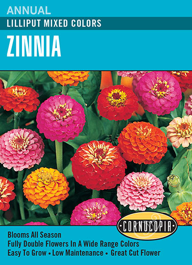 Visuel officiel de Cornucopia associé aux semences de Zinnia Lilliput, référence CS139. Ce mélange propose des zinnias de différentes couleurs sous le nom Lilliput. Les fleurs peuvent être cultivées dans les bordures et récoltées pour les bouquets. Cette image accompagne la fiche de cette sélection et permet de repérer le produit correspondant dans le catalogue de semences.
