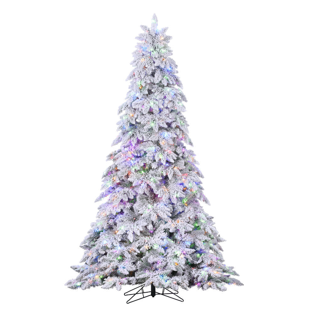 Sapin Chamonix