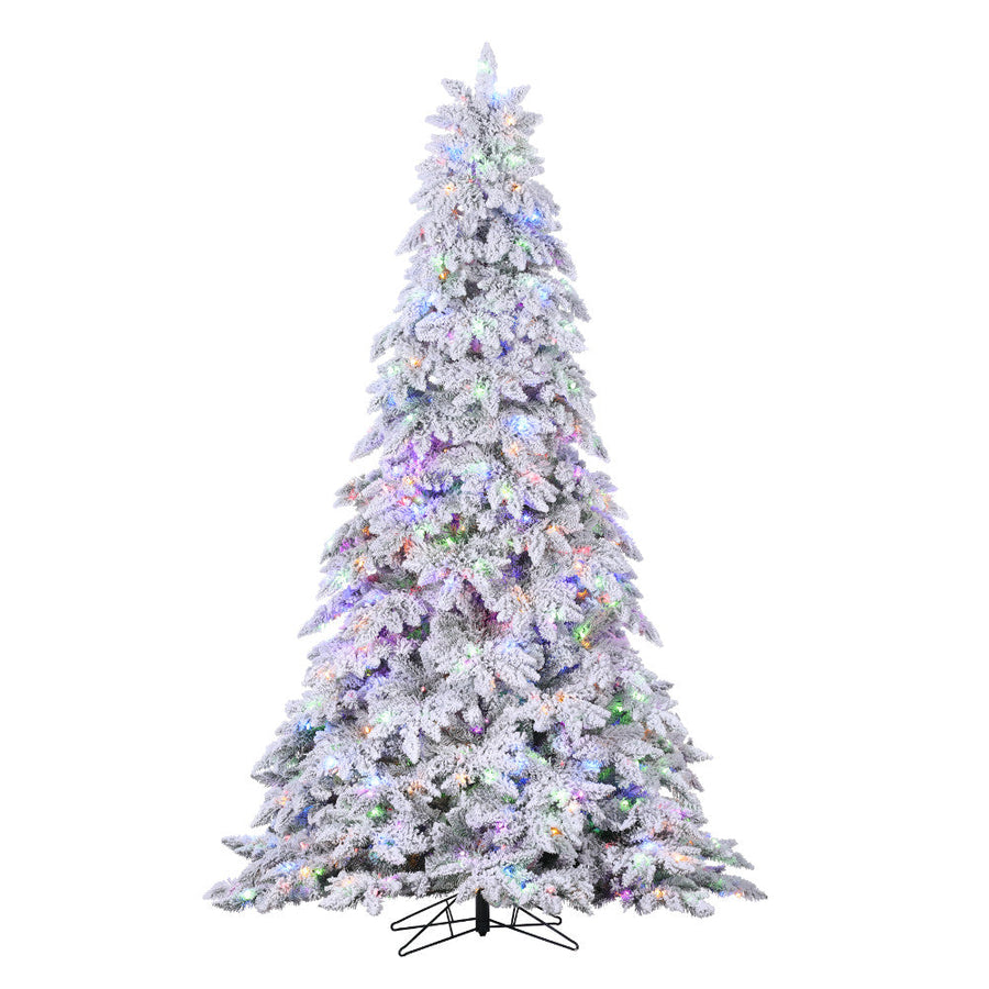 Sapin Chamonix