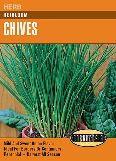 Visuel officiel de Cornucopia associé aux semences de Ciboulette, référence CS141. Cette référence propose de la ciboulette pour les récoltes de feuilles aromatiques. Les feuilles se coupent régulièrement pour les préparations culinaires, en conservant la base de la touffe. Cette image accompagne la fiche de cette sélection et permet de repérer le produit correspondant dans le catalogue de semences.