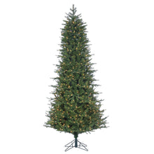 Sapin Marseille