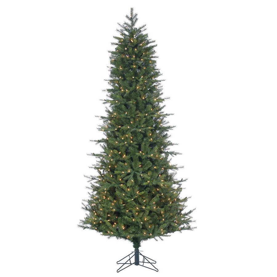 Sapin Marseille