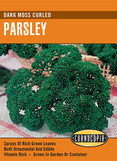Visuel officiel de Cornucopia associé aux semences de Persil frisé ‘Dark Moss Curled’, référence CS144. Les feuilles très frisées possèdent une saveur douce et poivrée. Les récoltes peuvent se poursuivre au fil de la saison. Le feuillage décoratif trouve sa place au jardin d’herbes comme dans les bordures. Cette image accompagne la fiche de cette sélection et permet de repérer le produit correspondant dans le catalogue de semences.