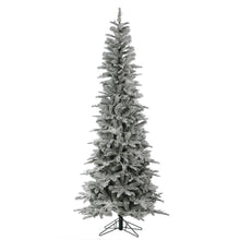 Sapin Torino