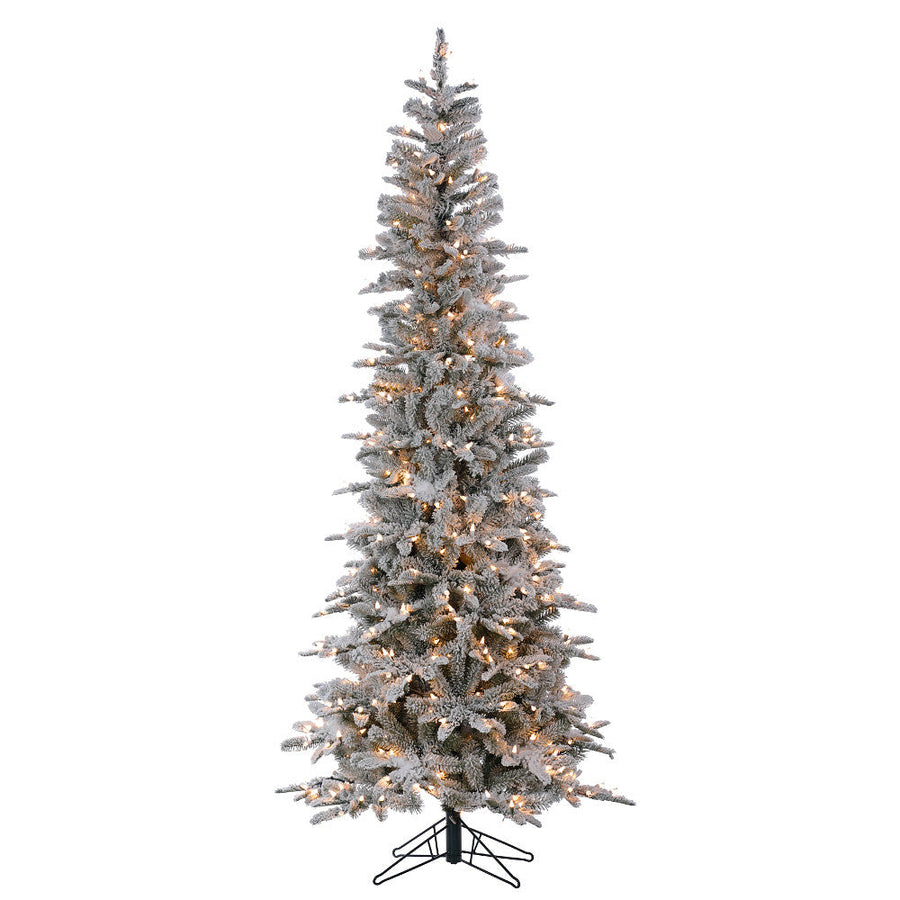 Sapin Torino