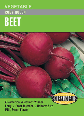 Visuel officiel de Cornucopia associé aux semences de Betterave ‘Ruby Queen’, référence CS146. Les racines présentent une coloration écarlate soutenue et une texture douce. Cette variété ancienne convient à la consommation fraîche et aux conserves. Le semencier annonce une récolte autour de 55 jours. Cette image accompagne la fiche de cette sélection et permet de repérer le produit correspondant dans le catalogue de semences.