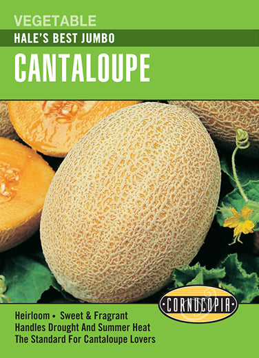 Visuel officiel de Cornucopia associé aux semences de Cantaloup ‘Hale’s Best Jumbo’, référence CS148. Les fruits sucrés possèdent une petite cavité contenant les graines. Ils pèsent environ 2,3 à 2,7 kg (5 à 6 lb). Le semencier annonce une récolte autour de 85 jours. Cette image accompagne la fiche de cette sélection et permet de repérer le produit correspondant dans le catalogue de semences.