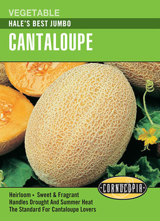 Visuel officiel de Cornucopia associé aux semences de Cantaloup ‘Hale’s Best Jumbo’, référence CS148. Les fruits sucrés possèdent une petite cavité contenant les graines. Ils pèsent environ 2,3 à 2,7 kg (5 à 6 lb). Le semencier annonce une récolte autour de 85 jours. Cette image accompagne la fiche de cette sélection et permet de repérer le produit correspondant dans le catalogue de semences.