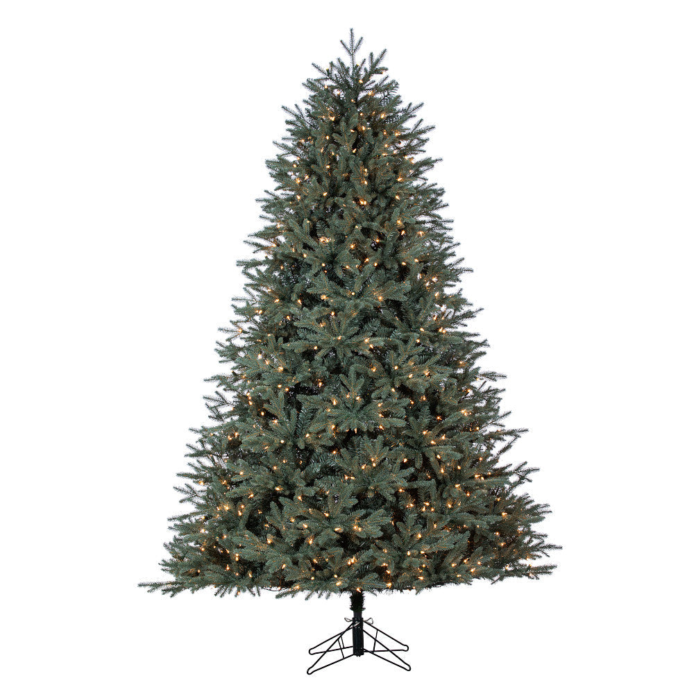Sapin Venise