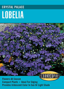 Visuel officiel de Cornucopia associé aux semences de Lobélie ‘Crystal Palace’, référence CS119. Cette référence propose la lobélie Crystal Palace. Elle se cultive pour la floraison décorative et peut être intégrée aux compositions de plantes saisonnières. Cette image accompagne la fiche de cette sélection et permet de repérer le produit correspondant dans le catalogue de semences.