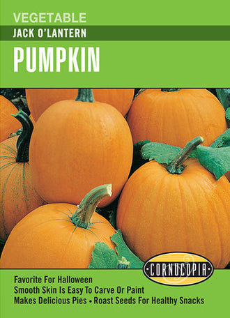 Visuel officiel de Cornucopia associé aux semences de Citrouille ‘Jack O’Lantern’, référence CS169. Les fruits orange et ovales pèsent environ 4,5 kg (10 lb). Ils peuvent être sculptés ou cuisinés et leurs graines se prêtent au grillage. Le semencier annonce une maturité autour de 100 jours. Cette image accompagne la fiche de cette sélection et permet de repérer le produit correspondant dans le catalogue de semences.