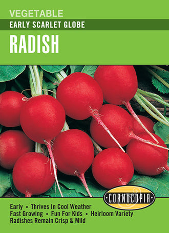 Visuel officiel de Cornucopia associé aux semences de Radis ‘Early Scarlet Globe’, référence CS171. Les racines rondes rouge vif possèdent une texture croquante. Cette variété ancienne se récolte rapidement et convient aux semis échelonnés. Le semencier annonce une maturité autour de 23 jours. Cette image accompagne la fiche de cette sélection et permet de repérer le produit correspondant dans le catalogue de semences.