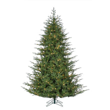 Sapin London