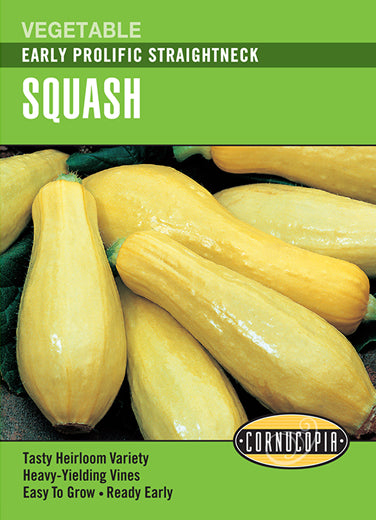 Visuel officiel de Cornucopia associé aux semences de Courge d’été ‘Early Prolific Straightneck’, référence CS178. Les plantes buissonnantes produisent des fruits jaunes à chair ferme et à saveur délicate. Ils conviennent aux crudités, aux grillades et aux sautés. Le semencier annonce une récolte autour de 50 à 55 jours. Cette image accompagne la fiche de cette sélection et permet de repérer le produit correspondant dans le catalogue de semences.