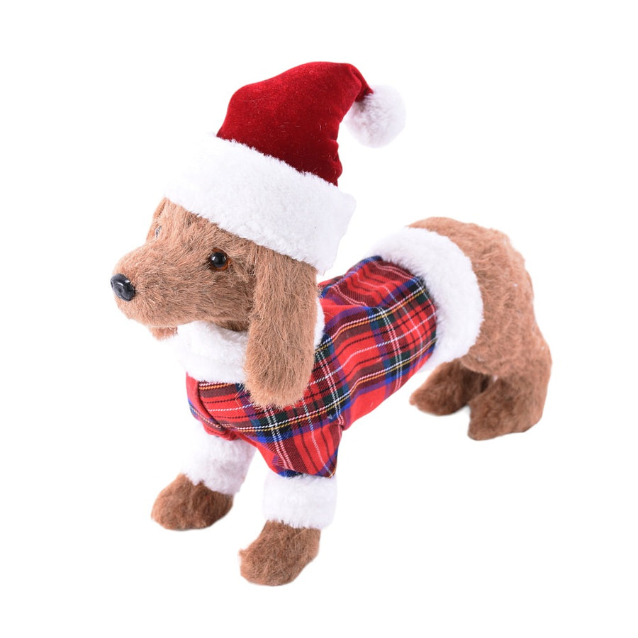 Chien avec bonnet de père Noël — produit sur fond blanc
