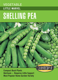 Visuel officiel de Cornucopia associé aux semences de Pois à écosser ‘Little Marvel’, référence CS193. Les plantes buissonnantes demandent peu de support. Chaque gousse contient généralement six ou sept pois tendres et sucrés, destinés à la consommation fraîche ou à la conservation. La récolte est annoncée autour de 61 jours.
