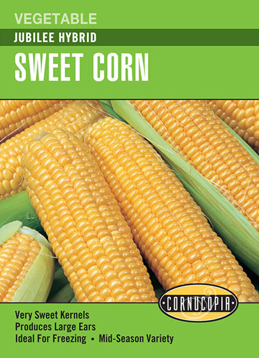 Visuel officiel de Cornucopia associé aux semences de Maïs sucré ‘Jubilee’, référence CS197. Ce maïs jaune hybride de type su possède des grains tendres adaptés à la consommation fraîche et à la congélation. La variété est présentée comme une sélection de mi-saison, avec une récolte annoncée autour de 81 jours.