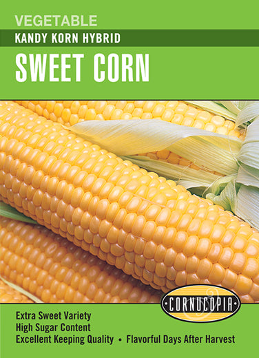 Visuel officiel de Cornucopia associé aux semences de Maïs sucré ‘Kandy Korn’, référence CS199. Cet hybride de type se produit des grains sucrés qui conservent leur qualité après la récolte et conviennent à la congélation. Il s’agit d’une variété tardive, dont la maturité est annoncée autour de 89 jours. Cette image accompagne la fiche de cette sélection et permet de repérer le produit correspondant dans le catalogue de semences.