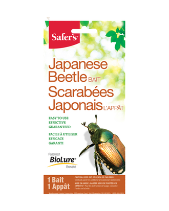 Appât pour scarabées japonais Safer's — photo sur fond blanc