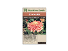 Sachet West Coast Seeds Benary’s Giant Salmon Rose, illustré d’une fleur double rose saumon. De larges rangs de pétales arrondis forment une tête bombée, avec un centre plus clair et dressé. Des feuilles vertes et quelques fleurs floues occupent le fond. Le nom figure dans le bandeau brun au-dessus de la photo.