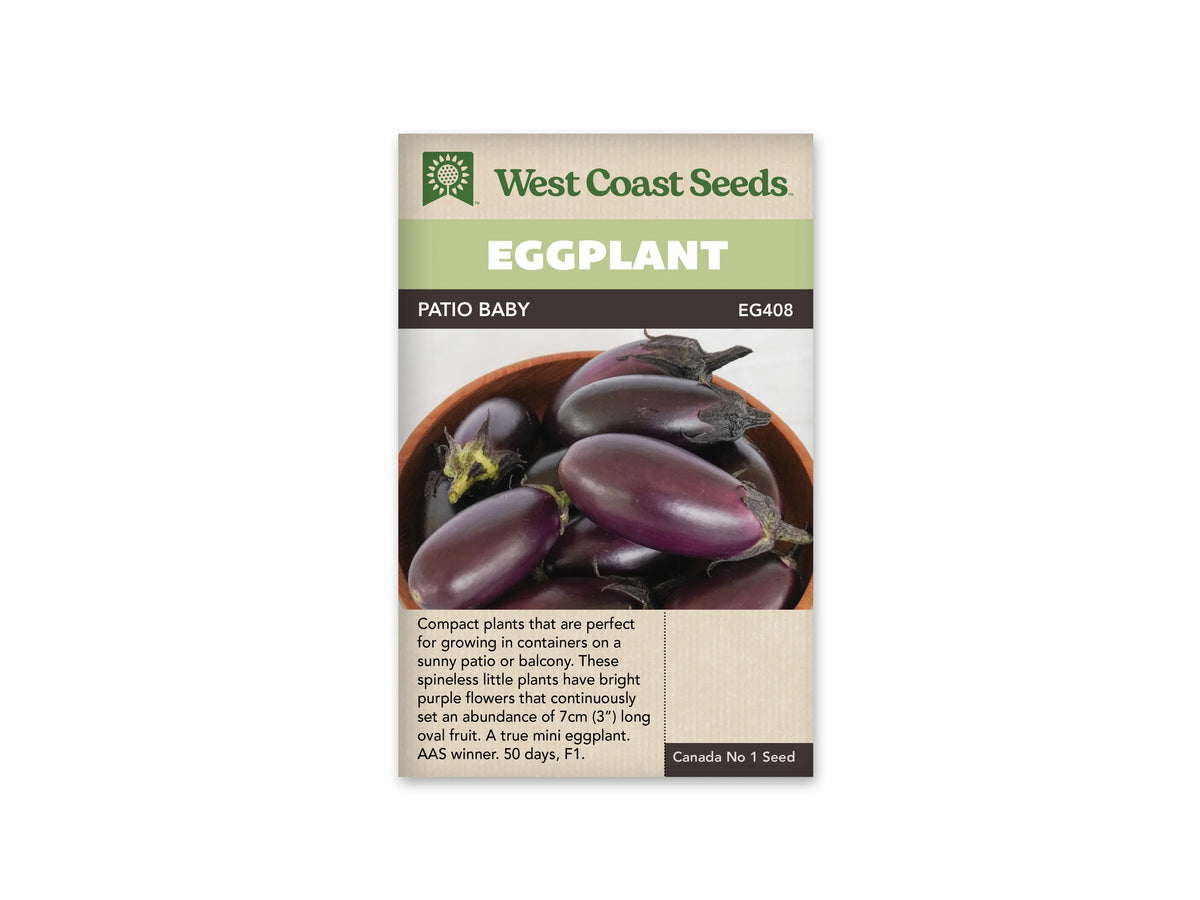 Sachet Patio Baby de West Coast Seeds, avec une bande vert pâle et le nom sur une bande foncée. La photo montre de petites aubergines ovales violet foncé, réunies dans un bol brun. Leurs queues et calices sont verts. Une zone beige avec du texte occupe le bas du sachet, sous les fruits.