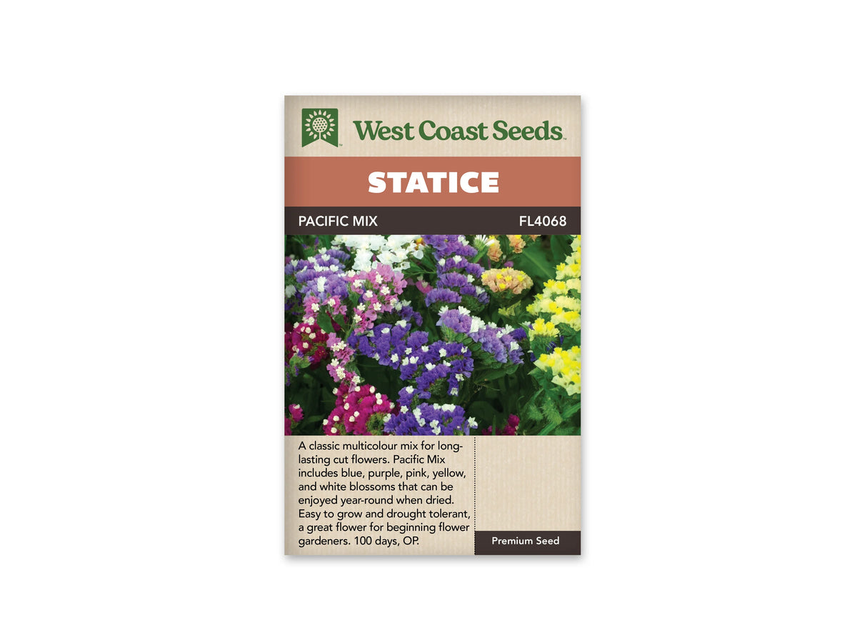 Le sachet West Coast Seeds présente un bouquet de statices aux petits groupes de fleurs bleues, violettes, roses, jaunes et blanches. Les tiges vertes ramifiées soutiennent les amas colorés à texture papyracée. De minuscules fleurs claires apparaissent dans plusieurs groupes. Le bandeau du sachet porte le nom Pacific Mix et la référence FL4068 au-dessus de l'image.