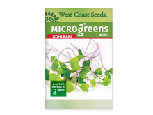 Sachet blanc West Coast Seeds pour micropousses de chou-rave, avec le nom anglais Kohlrabi en rouge et un bandeau vert. Au centre, de petites feuilles vertes arrondies se dressent sur des tiges fines, pâles ou pourpres. Le code MG761 est placé sous le nom. Le délai de deux semaines apparaît dans un encadré vert en bas à gauche.