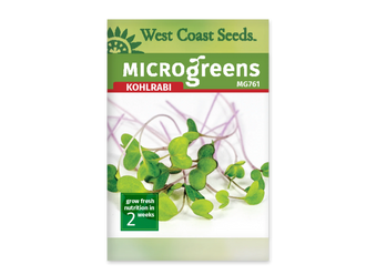 Sachet blanc West Coast Seeds pour micropousses de chou-rave, avec le nom anglais Kohlrabi en rouge et un bandeau vert. Au centre, de petites feuilles vertes arrondies se dressent sur des tiges fines, pâles ou pourpres. Le code MG761 est placé sous le nom. Le délai de deux semaines apparaît dans un encadré vert en bas à gauche.
