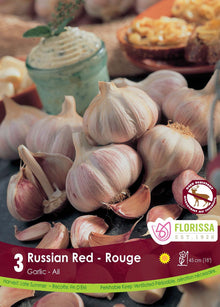 Russian Red garlic (<em>Allium sativum var. ophioscorodon</em> ‘Russian Red’)