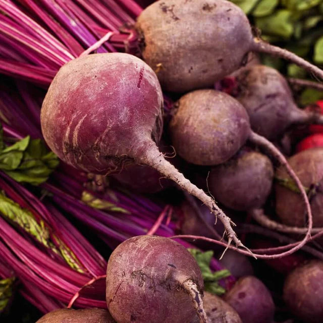 Semences Hortinova de Betterave 'Kornett', produit destiné au potager et présenté pour identifier clairement le cultivar avant le semis. Vue 1 de l'emballage ou du produit, à utiliser comme repère visuel avec les conseils de culture, l'exposition, l'arrosage et la récolte indiqués dans la fiche française de Pépinière.ca. Pour Betterave 'Kornett', des observations régulières permettent d'ajuster les soins aux conditions réelles du jardin.