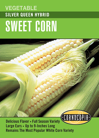 Visuel officiel de Cornucopia associé aux semences de Maïs sucré ‘Silver Queen’, référence CS200. Cet hybride à grains blancs convient à la consommation fraîche et à la congélation. Il appartient au type su et forme de grands épis. La variété est tardive, avec une maturité annoncée autour de 90 jours.