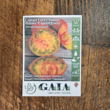 Tomato 'Captain Lucky' organic