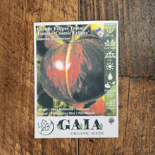 Tomato 'Cosmic Eclipse' Organic