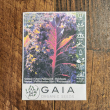 Kale 'Scarlet' organic