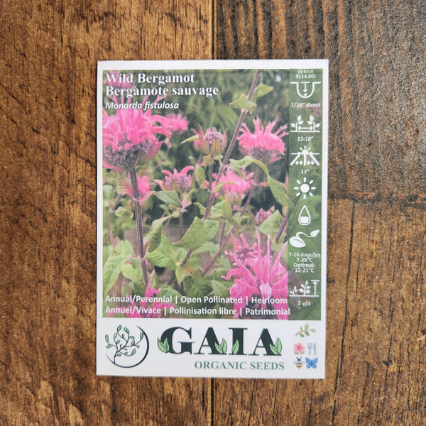 Organic wild bergamot