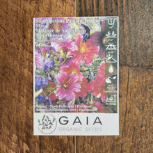 Salpiglossis 'Superbissima' Mix Organic 