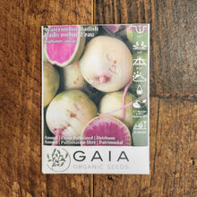 Radish 'Watermelon' organic