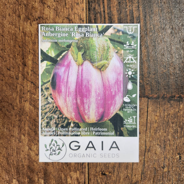 Organic eggplant 'Rosa Bianca'