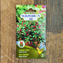 Piment fort 'Basket of Fire'