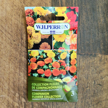 Companion flower collection (Calendula, Nasturtium & Marigolds)