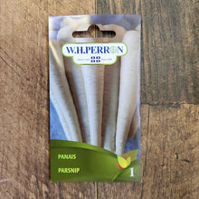 Panais