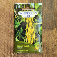 Haricot grimpant jaune