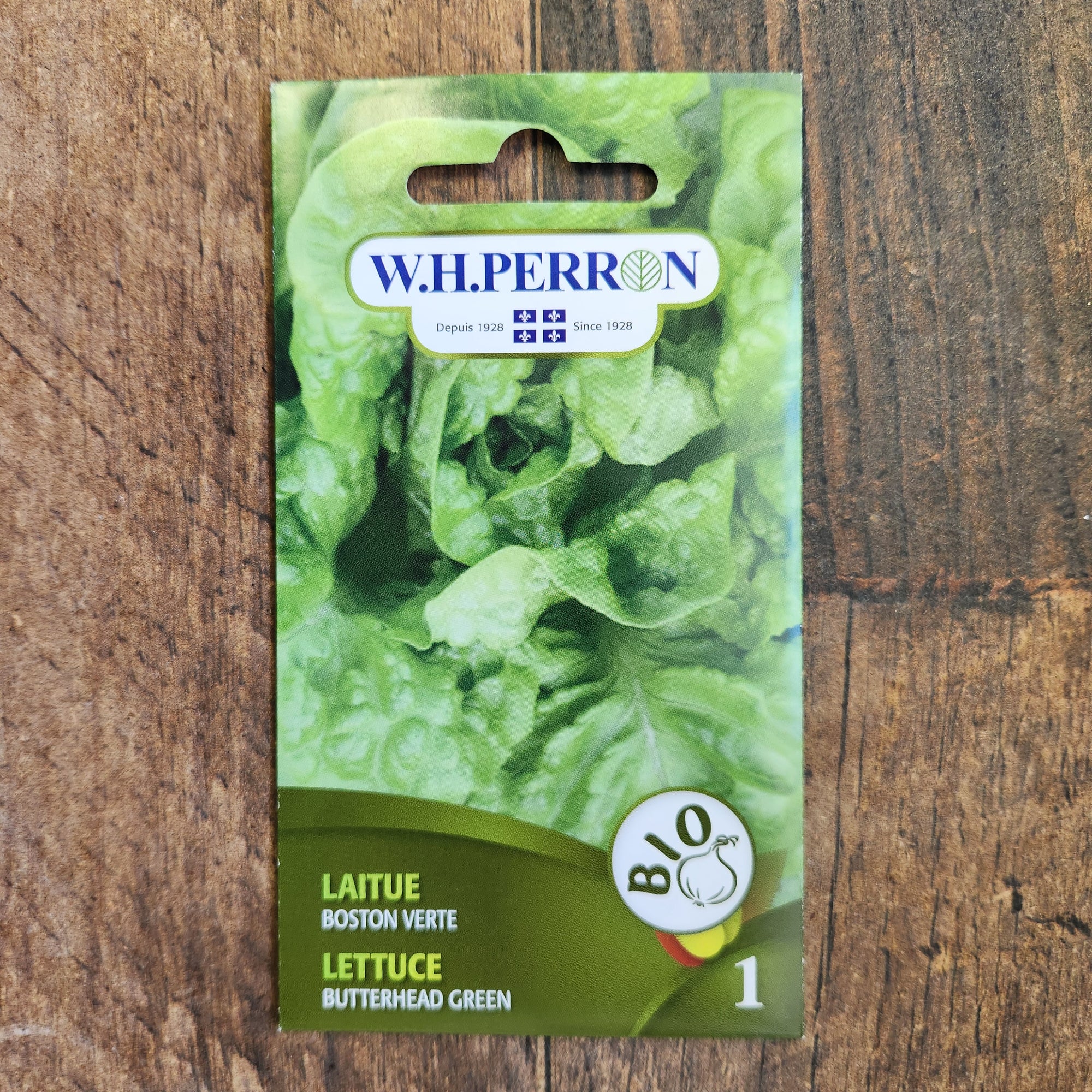 Green Boston Lettuce organic