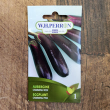Eggplant 'Charming Rose'