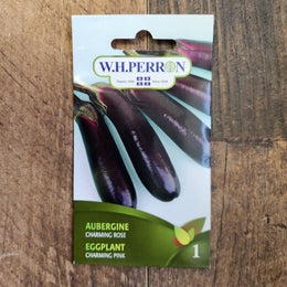 Eggplant 'Charming Rose'