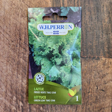 Laitue frisée verte 'Two Star'