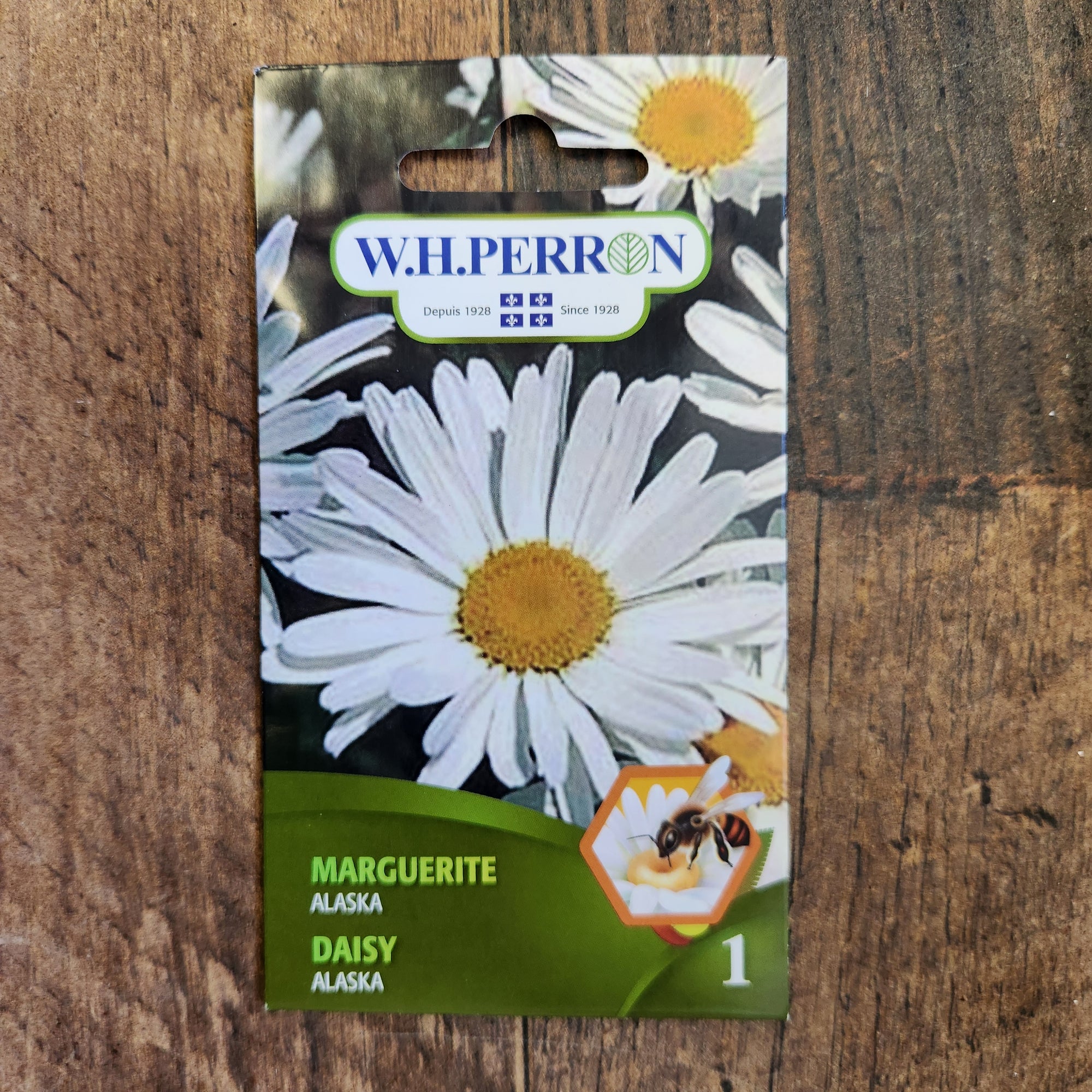 Marguerite 'Alaska'