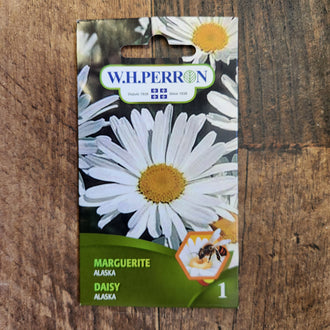 Sachet de semences W. H. Perron : Marguerite (Leucanthemum × superbum 'Alaska'). L'emballage présente le nom de la sélection et une illustration de la plante ou de la récolte. Cette photographie montre la face avant du sachet, avec les renseignements imprimés visibles et les éléments graphiques qui permettent de reconnaître le produit parmi les autres semences de la gamme.