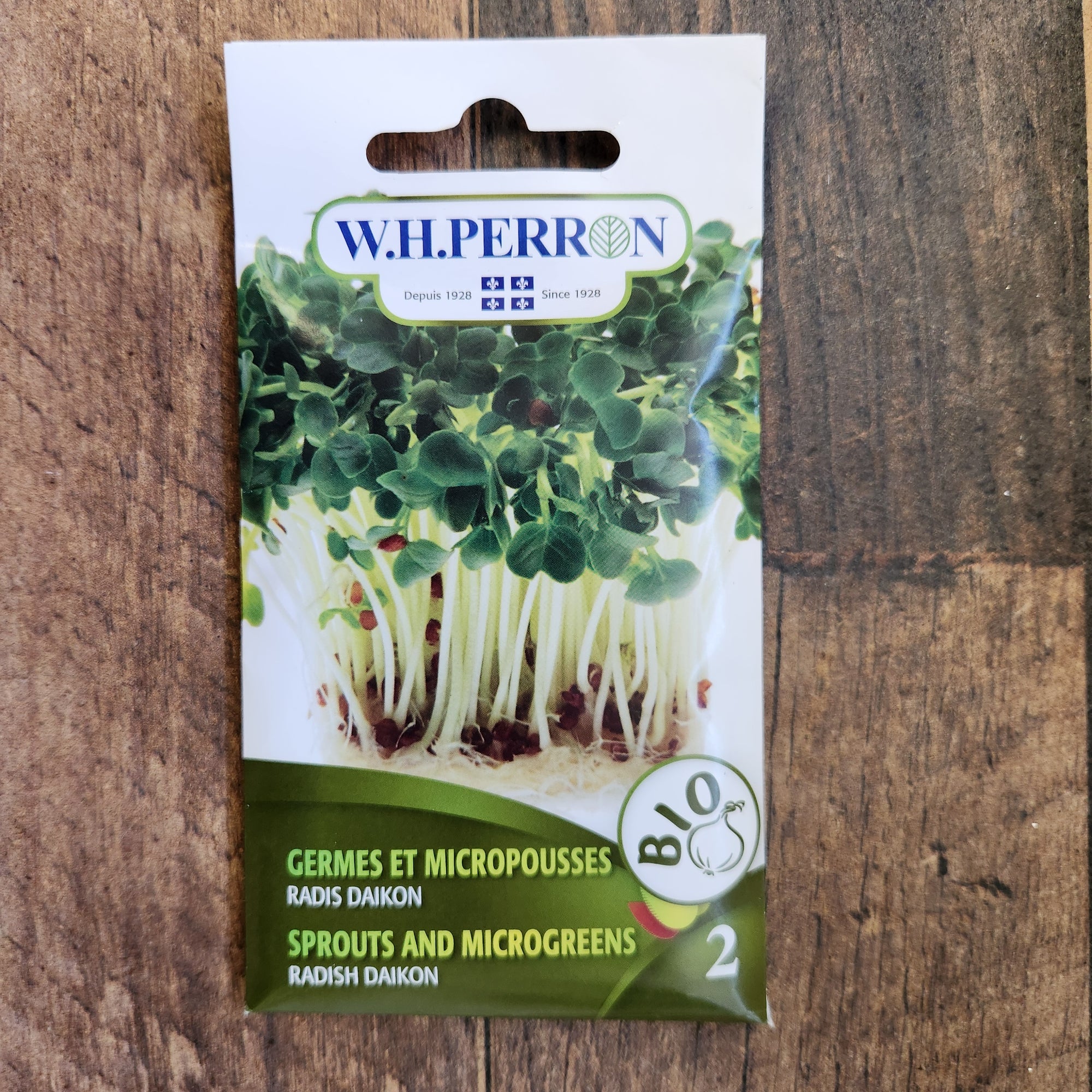 Radish sprout 'Daikon' organic